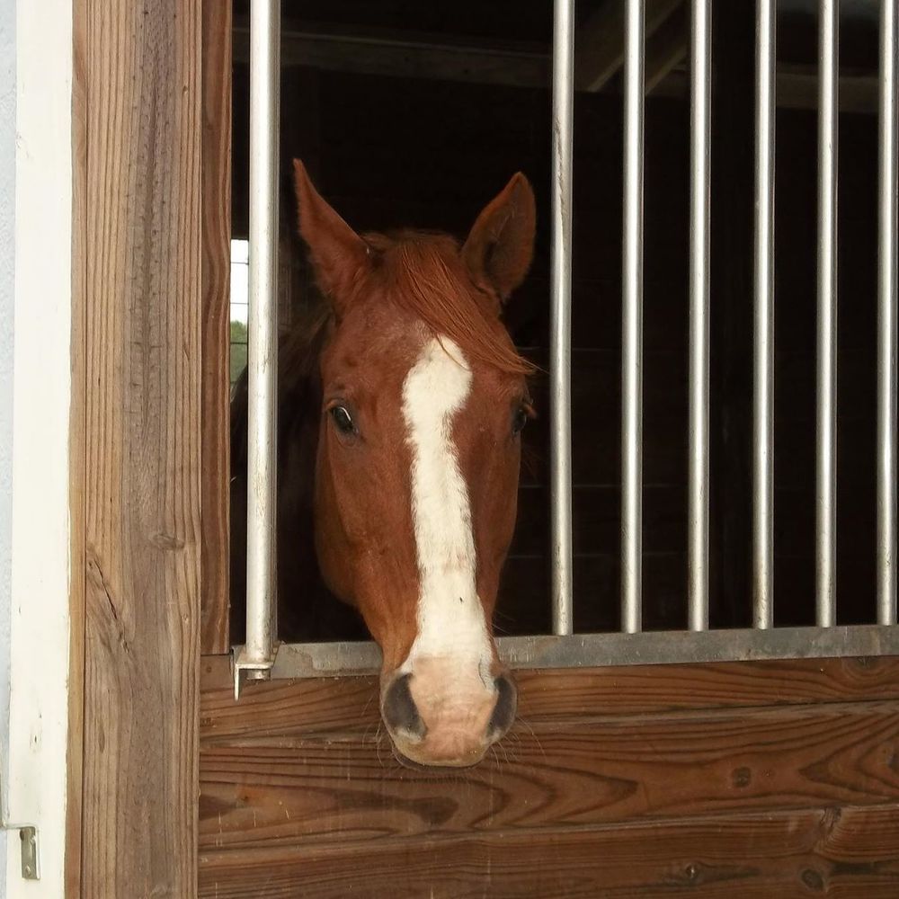 Meet your Posher, Sherri